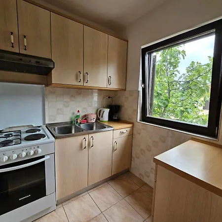 Agava * ニヴィーチェ