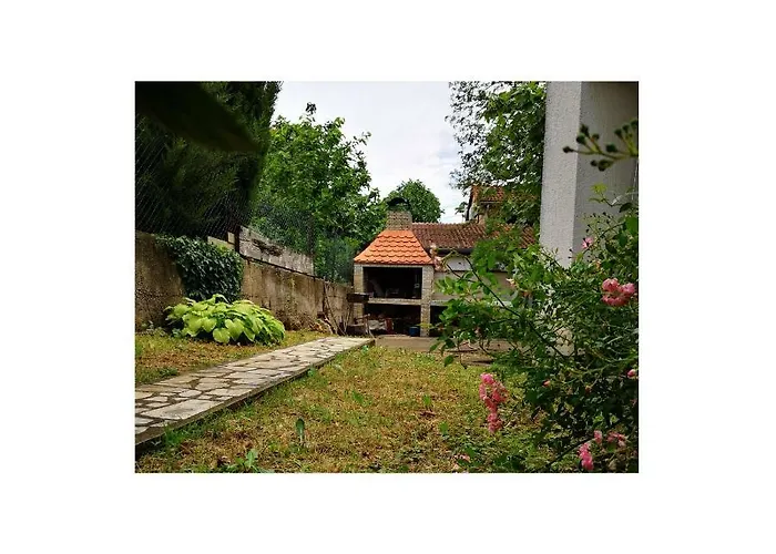Agava